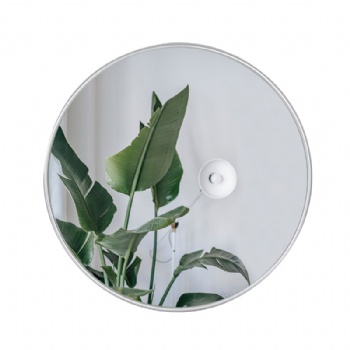 Nordic minimalist acrylic round mirror