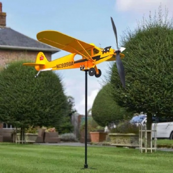 Aircraft weather vane