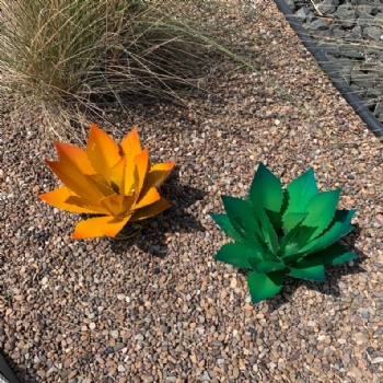 Wrought iron decoration of agave