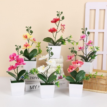 3 four-leaf phalaenopsis simulated potted plants