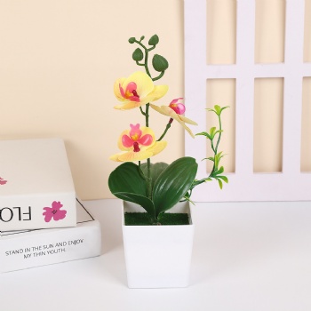 3 four-leaf phalaenopsis simulated potted plants