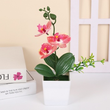 3 four-leaf phalaenopsis simulated potted plants