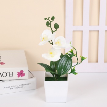 3 four-leaf phalaenopsis simulated potted plants