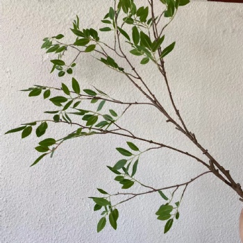 Artificial banyan tree branches and leaves