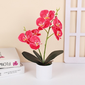 7 silk cloth artificial phalaenopsis