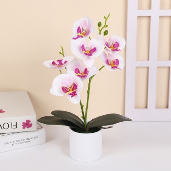 7 silk cloth artificial phalaenopsis