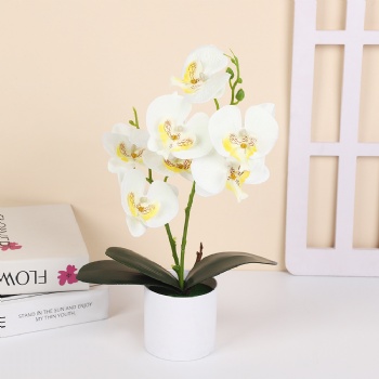 7 silk cloth artificial phalaenopsis