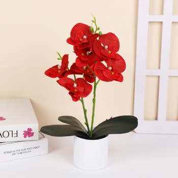 7 silk cloth artificial phalaenopsis