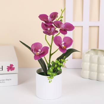 Phalaenopsis artificial potted plant