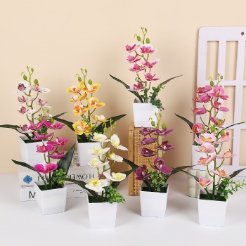 Nordic style phalaenopsis simulated potted plant