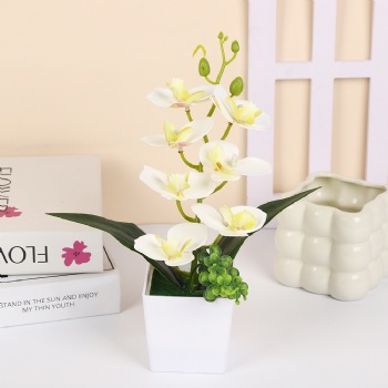 Nordic style phalaenopsis simulated potted plant