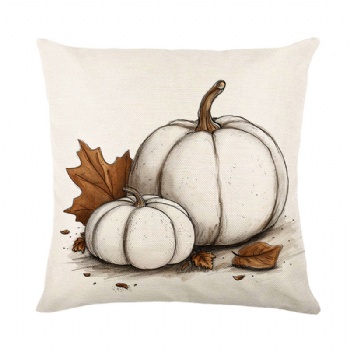 New pumpkin pillowcase