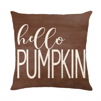 New pumpkin pillowcase