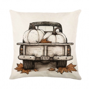 New pumpkin pillowcase